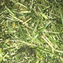Equi-Feeds Horse Alfalfa Plus
