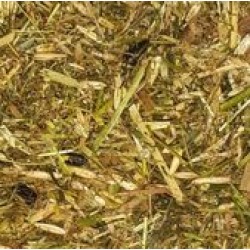 Equi-Feeds Horse Pasture Plus