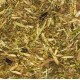Equi-Feeds Horse Pasture Plus Equi-Feeds Horse Pasture Plus