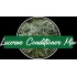 SPURWING LUCERNE CONDITIONER MIX