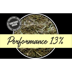 SPURWING PERFORMANCE 13%