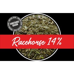 SPURWING RACEHORSE 14%