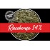 SPURWING RACEHORSE 14%