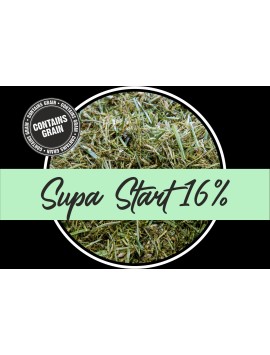 SPURWING SUPA START 14%