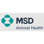 MSD