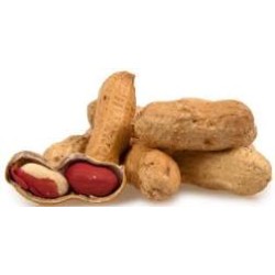 PEANUTS IN SHELLS 5KG NC23