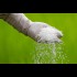 Sen Agrigypsum 50kg