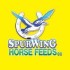 SPURWING HAY PRESTO 20KG