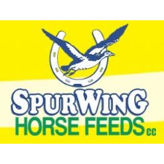 SPURWING HIGH 5
