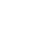Sheep / Goat