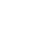 Cattle
