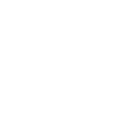 Cattle