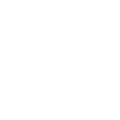 Dog Food